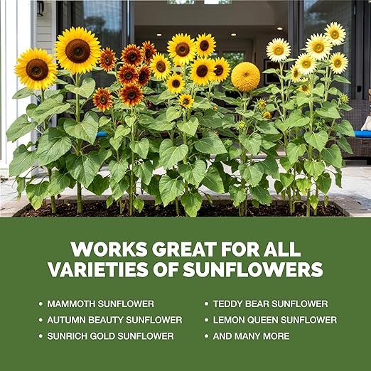 Sunflower Fertilizer – Liquid Plant Food for Bigger Blooms, Strong Stems & Vibrant Flower Color, 32 oz
