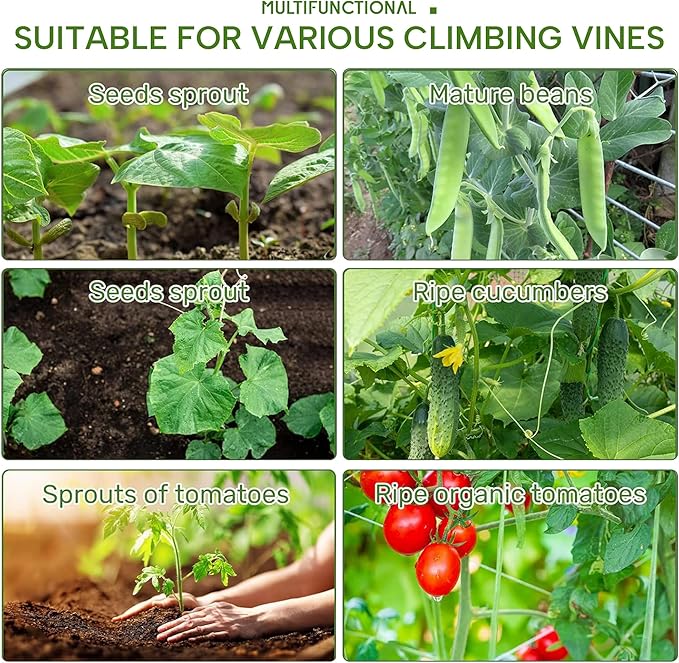 HPC Decor Cucumber Trellis for Raised Bed, 6 FT Tall Garden Trellis for Climbing Plant Outdoor, Metal A Frame Trellis with Climbing Net, Support for Vegetable, Grape, Tomato, Peas, Fruit, Vine.