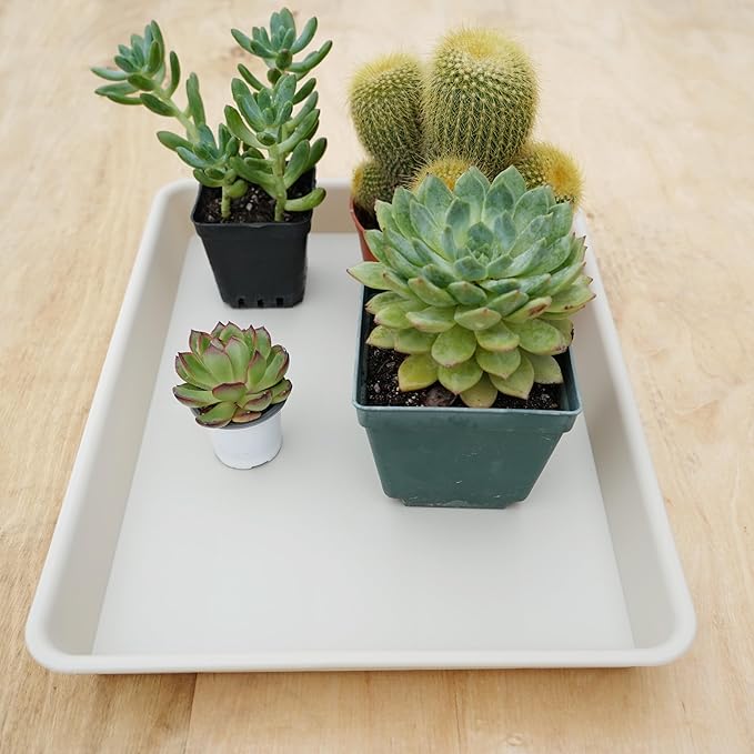VUWEZ Rectangle Plant Tray, Plant Drip Tray, Plant Pot Saucers, Plant Germination Trays, Plant Saucers, 14.5'' x 11'' x 1.5'' (4 pack), Beige