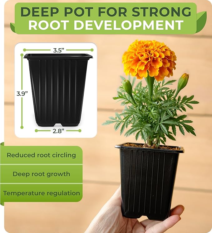 CARPATHEN 60Pack Square Nursery Pots - 3.5 Inch Seedling Plant Pot with Drainage Holes - Reusable Seed Starter Pots for Flowers, Vegetables, Greens - Includes 10 Plastic Reusable Tags