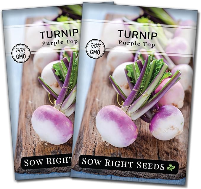 Sow Right Seeds - Purple Top White Globe Turnip Seeds for Planting - Non-GMO Heirloom Packet with Instructions to Plant a Home Vegetable Garden - Early Season, Cold Hardy - Classic Variety (2)