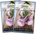 Sow Right Seeds - Purple Top White Globe Turnip Seeds for Planting - Non-GMO Heirloom Packet with Instructions to Plant a Home Vegetable Garden - Early Season, Cold Hardy - Classic Variety (2)