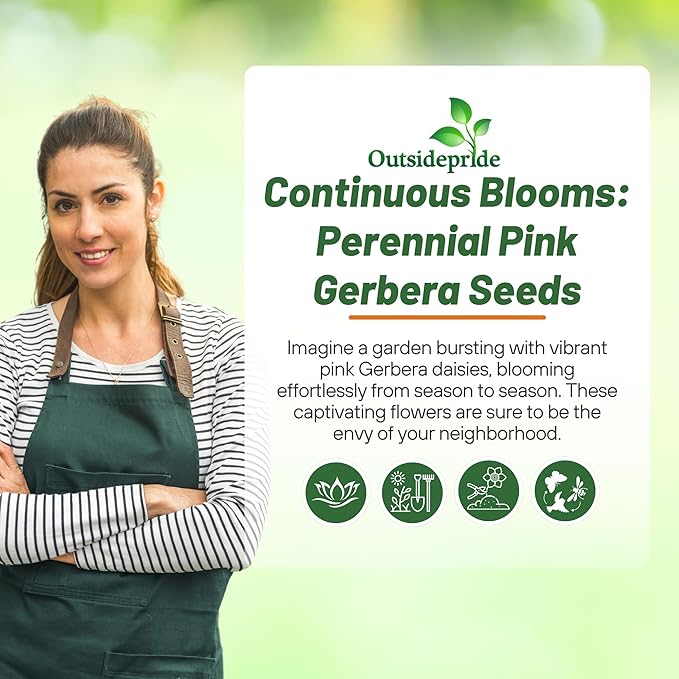 Outsidepride Pink Gerbera Seeds - 20 Pcs Perennial, Compact & Low Maintenance, Flower Seeds for Planting w/Vibrant Green Centered, Pink Blooms, Ideal for Garden Landscaping & Cut Flower Arrangements