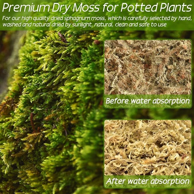 ZeeDix 3.3 lb Premium Sphagnum Moss Bulk, Dried Long Fiber Orchid Sphagnum Peat Moss for Indoor Outdoor Plants, Carnivorous Plants, Succulent, Monstera & Reptiles Habitats (Expands to 60 qt)