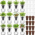 12 Set Hydroponic Herb Garden Planter Indoor Kit, Include 12 Self Watering Mason Jars 12 Planting Baskets 12 Pre Sown Growth Plugs and 12 Absorbent Cores Herb Growing Kit for Gardening