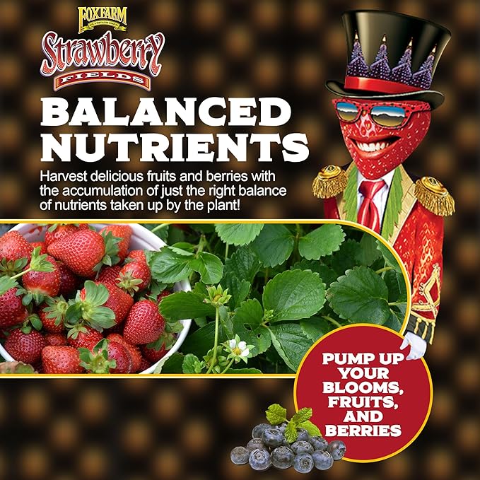 FoxFarm Strawberry Fields Fruiting & Flowering Potting Soil, 1.5cu ft (Pack of 4) - Use to Increase Blooms, Fruits, and Berries - Made for the Fruiting and Flowering Stages of Plants