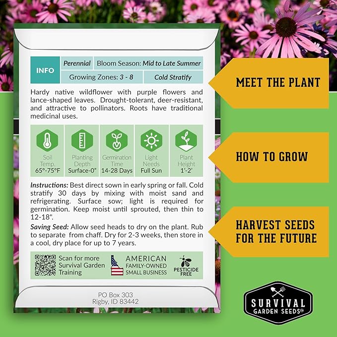 Survival Garden Seeds - Narrow-Leaved Coneflower Seeds for Planting | Echinacea angustifolia | Drought-Tolerant Medicinal | Native Prairie Plant - 1 Pack