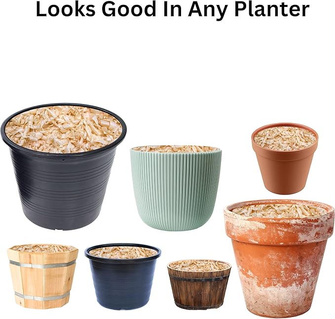 Garden Soils, Mulches and Rocks (Pine Shavings, 2 Quarts)