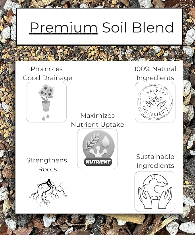 Bonsai Tree Potting Mix, Organic. 2qt Bag (3.5lbs) with Biochar, Mycorrhizae, Lava Rocks, Pumice, Pine Bark, Wood Compost, and Other Essential Nutrients.
