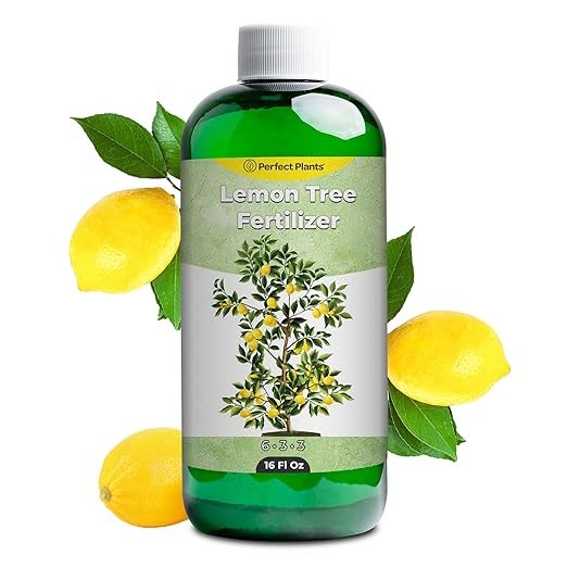 Liquid Lemon Tree Fertilizer by Perfect Plants | Citrus Plant Food for Fast Growth and Happy Live Lemon Trees | 6-3-3 Formula Rich in Nitrogen and Other micronutrients (16oz)