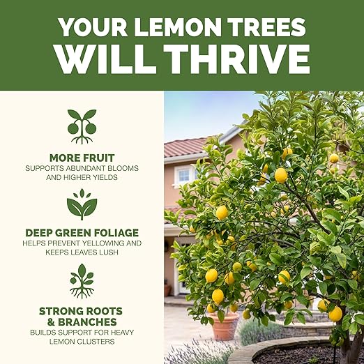 Lemon Tree Fertilizer for Lemon Trees and Citrus, Liquid Plant Food, 1 Gallon (128 oz)