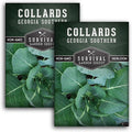 Collard Green Seeds for Planting | Georgia Southern Heirloom Non-GMO Variety | Leafy Greens for Home Vegetable Gardens - Survival Garden Seeds (2 Packs)