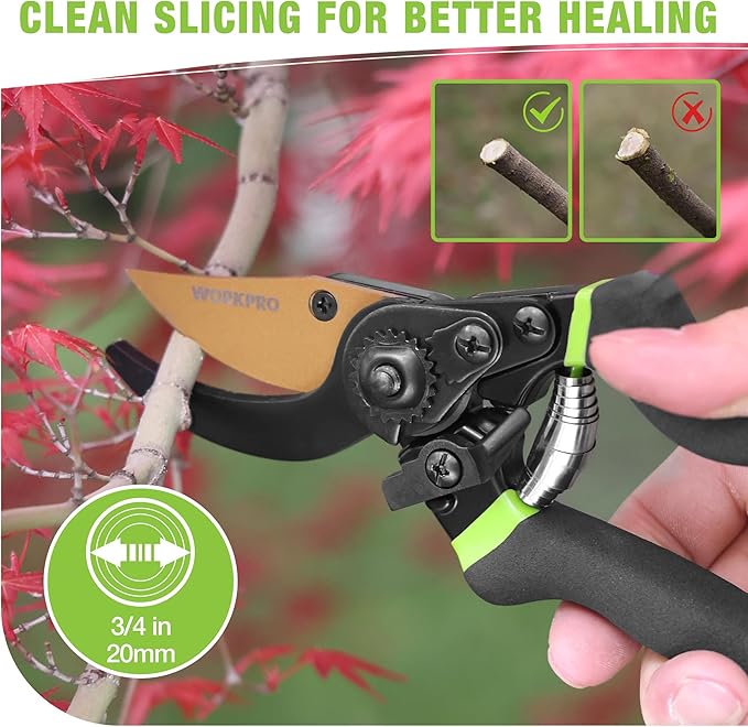 WORKPRO 8.5" Bypass Pruning Shears, Professional Garden Shears with Sharp SK5 Blade, Garden Clippers, Hand Pruner for Branches, Flowers, Fruits, Plants, Bonsai, Effortlessly Prunes 3/4" Branches