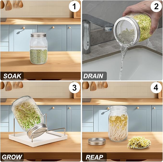  [Large Size] 68oz Sprouting Kit, 2 Sprouting Jar Kits, Wide Mouth Jars with Stainless Steel Screen Sprout Lid, 2000ml Sprouts Growing Kit, Seed Sprouter Set for Growing Broccoli, Bean, Alfalfa ﻿