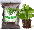 Organic Pothos Soil Mix 4qt, Indoor Plants Potting Mix for All Potted Pothos, Grow Healthy houseplants Indoors