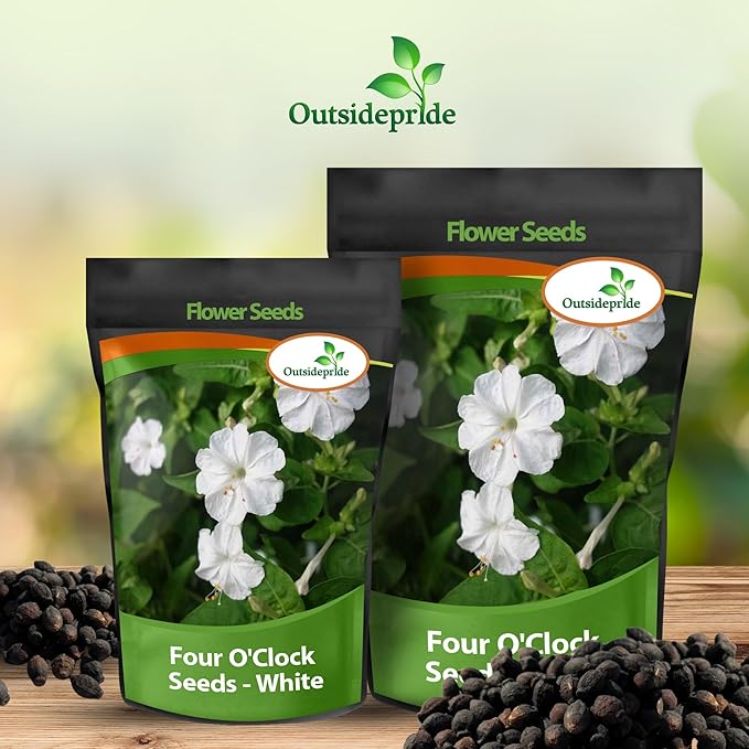 Outsidepride White Four O'clock Flower Seeds - 1 lb Perennial Fragrant, Trumpet-Shaped Blooms, Deer-Proof & Easy to Grow, for Pollinator & Evening Gardens, Containers, Hedges, or Borders
