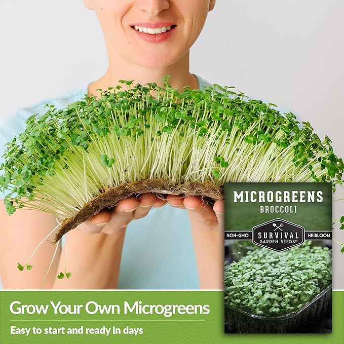 Broccoli Microgreen Seeds for Planting - Non-GMO Heirloom Broccoli Seeds to Grow Microgreens - Indoors or Hydroponic - Fast Sprouting, Nutrient Dense - Survival Garden Seeds (2 Packs)