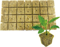 Rockwool Cubes,28Pack Rock Wool Planting Cubes with Holes,Rockwool Grow Used to Promote Vigorous Plant Reproduction,Cutting,Cloning and Seed Hydroponic Growth Medium (28)