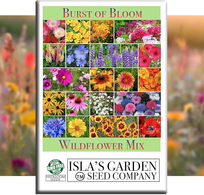 Burst of Bloom Wildflower Seed Mix – 2,500+ Non-GMO & Heirloom Seeds by Isla’s Garden Seeds, Colorful Annual & Perennial Blend, Attracts Butterflies, Bees & Hummingbirds,Perfect for Pollinator Gardens
