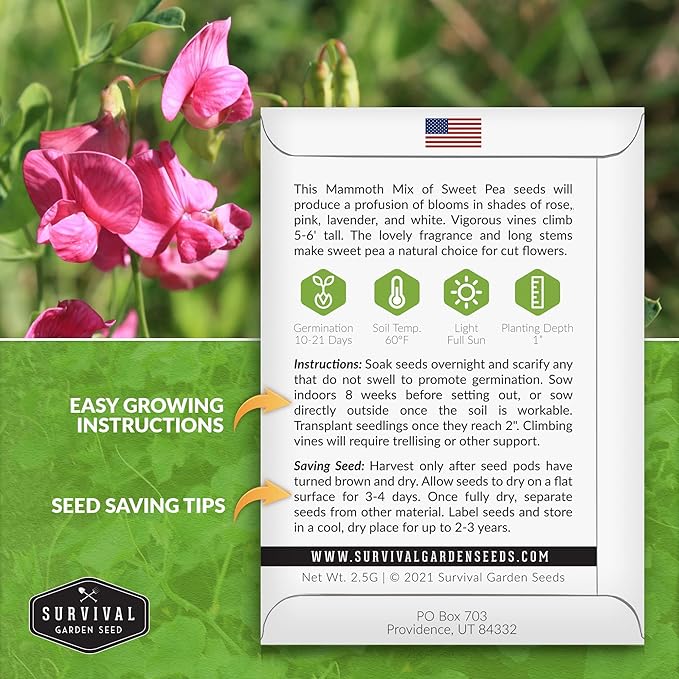 Mammoth Mix Sweet Pea Seeds for Planting – Heirloom Sweet Pea Variety with Giant Fragrant Flowers on Tall Climbing Vines for Trellises and Fences – Survival Garden Seeds (2 Packs)