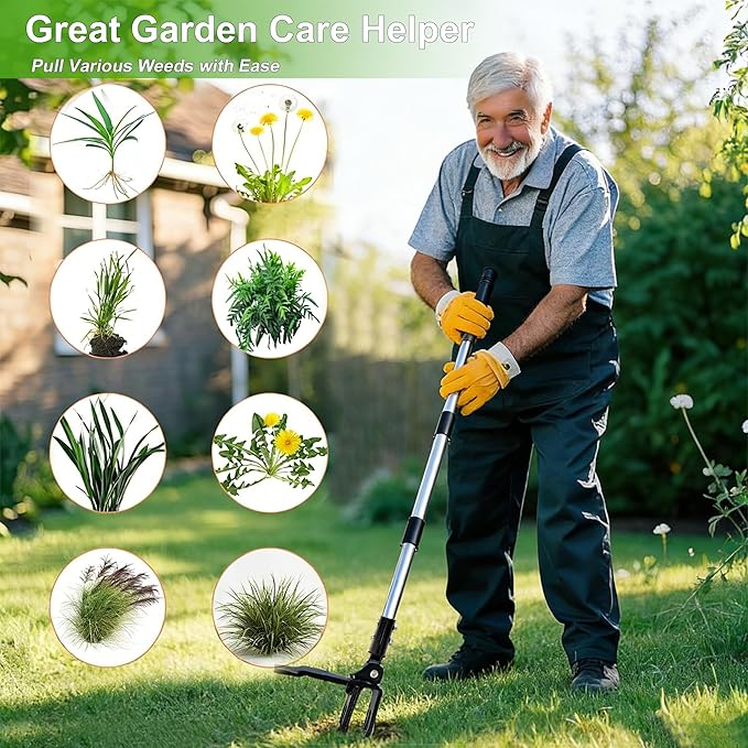 Weed Puller Tool Stand Up Hand Weeder Tool with Adjustable Long Handle, Weed Remover with Steel Head, Remove Weeds Root Easily without Bending, Pulling or Kneeling for Lawn Yard Garden (4 CLAWS)