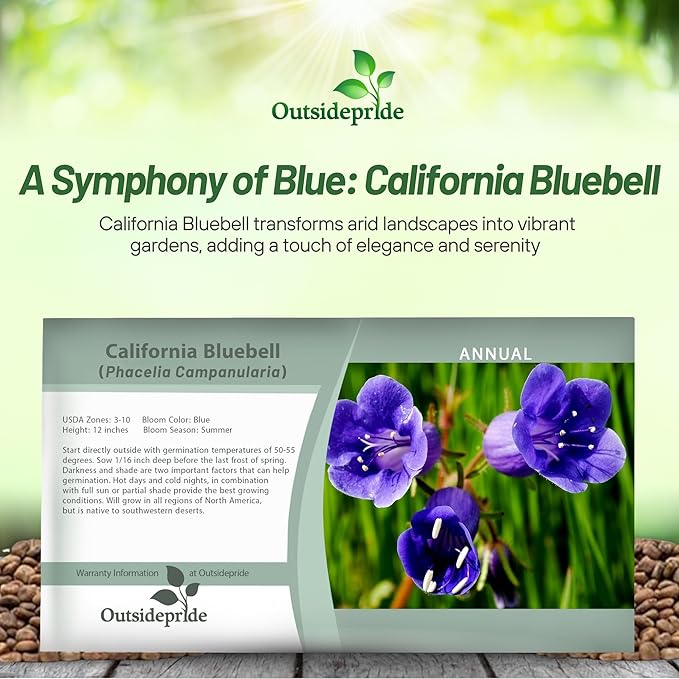 Outsidepride California Bluebell Wildflower Seeds - 5000 Pcs Annual, Hardy, Easy-to-Grow, & Pollinator-Friendly Phacelia Campanularia Flower Seeds for Planting Vibrant Blue Blooms in Summer Gardens