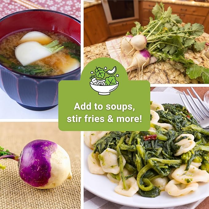Sow Right Seeds - Collection of Turnip Seeds for Planting - Non-GMO Heirloom Packet with Instructions to Plant & Grow an Outdoor Home Vegetable Garden - 2 Varieties Include Purple Top & Snowball