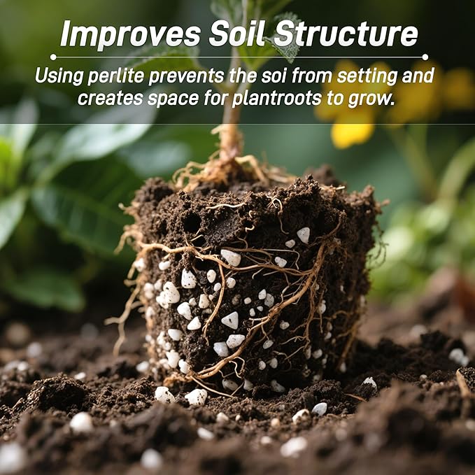 29 Quarts Chunky Perlite for Plant Soil Amendment for Potting Soil, Improves Drainage and Aeration for Soil, Ideal for Succulents, Orchid, Flower Plants (1/4 inch)