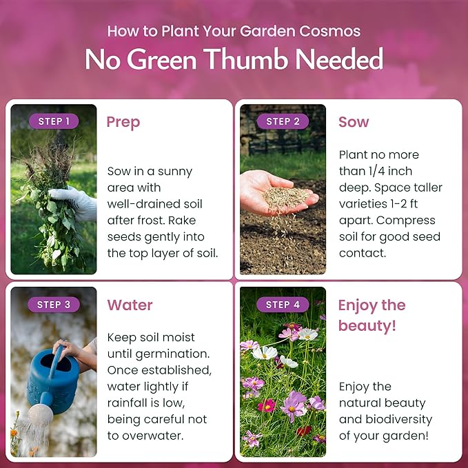 Created By Nature, Cosmos Seeds, Sensation Mix, Pink, Purple, and White Wildflower Seed Mix, 4,500 Annual Flower Seeds, Covers Up to 275 sq. ft. (Cosmos bipinnatus)