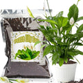 Organic Peace Lily Soil Mix 2qt, Indoor Plants Potting Mix for Planting, Growing, or Repotting Peace Lily Plants, Grow Healthy houseplants Indoors