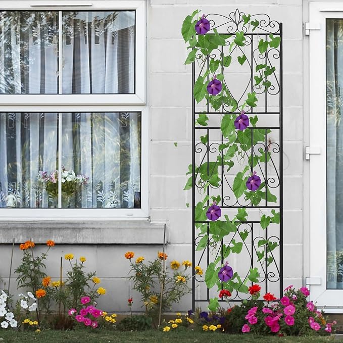 unho 2 Pack 71.6x20in Iron Arch Garden Trellis with Black Metal Coating–Perfect for Supporting Climbing Plants Outdoor, Roses, Vines, Flowers, and Vegetables