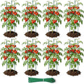 8 Pack Tomato Cages for Garden, Up to 48in Adjustable Tomato Cage, Tomato Stakes Plant Cage for Garden Plant Support, Climbing Vegetables Plants Flowers