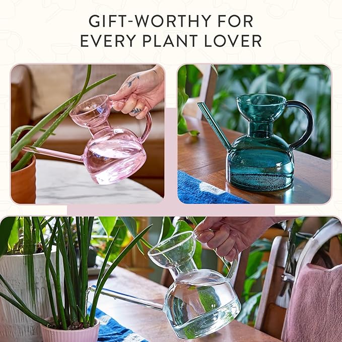 Modern Sprout Plant Watering Can - Handcrafted from Borosilicate Glass - Long Spout Vessel for Indoor Plants - 32 Oz Capacity - Multipurpose Watering Can and Flower Vase - Gift for Mother's Day(Blush)
