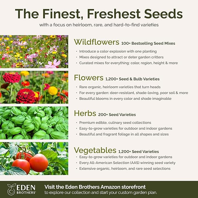 Eden Brothers Southeast Wildflower Mixed Seeds for Planting, 1/4 lb, 120,000+ Seeds with Cornflower, Blanket Flower | Attracts Pollinators, Plant in Spring or Fall, Zones 3, 4, 5, 6, 7, 8, 9, 10