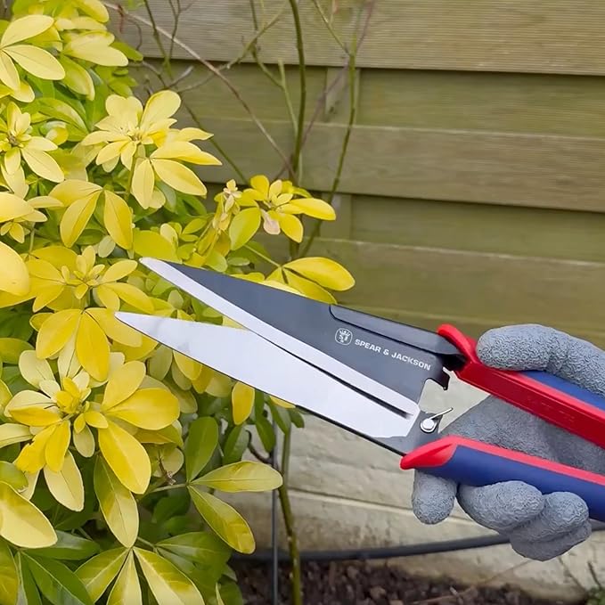 Spear & Jackson Razorsharp Topiary Shears – Precision Garden Shears for Pruning, Shaping, and Trimming Plants