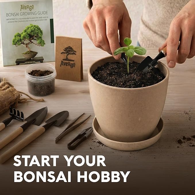 Bonsai Starter Kit – Growing Jacaranda Bonzai Tree | Complete Indoor Tree Kit for Growing Plants with Tools & Planter – Gardening Gifts for Mother, Women & Men