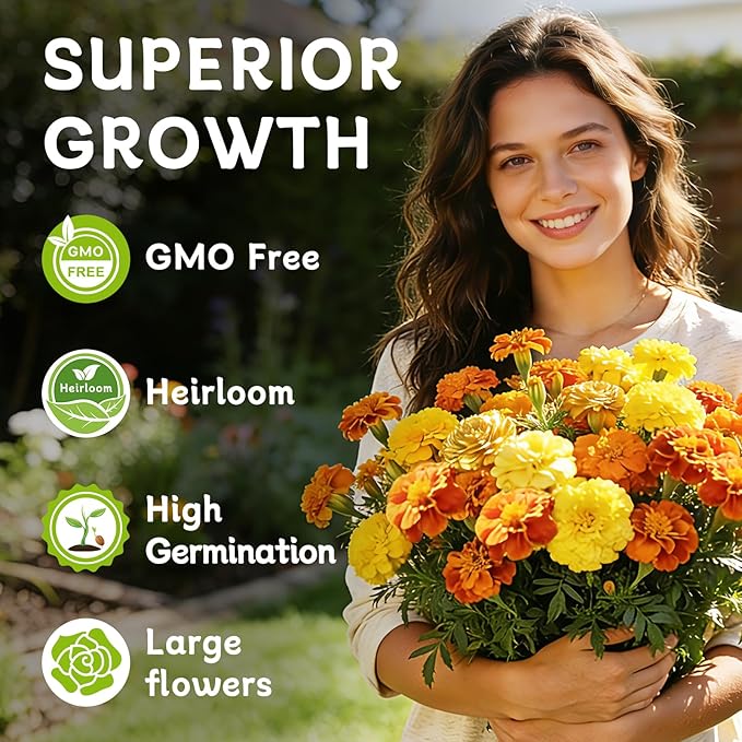 LUOJIBIE French Marigold Seeds for Planting Outdoors, Giant Marigold Flowers Seeds Bulk for 2026, Over 8,500+ Seeds Prolific Blooms, Ideal for Vibrant Pollinator Gardens
