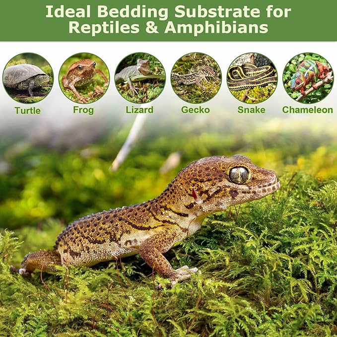 Legigo 2.6LBS Sphagnum Moss for Plants, 50QT Natural Orchid Moss Potting Mix Dired, Green Forest Plant Moss for Orchid Repotting Carnivorous Succulents Indoor Potted Plants Gardening and Reptiles