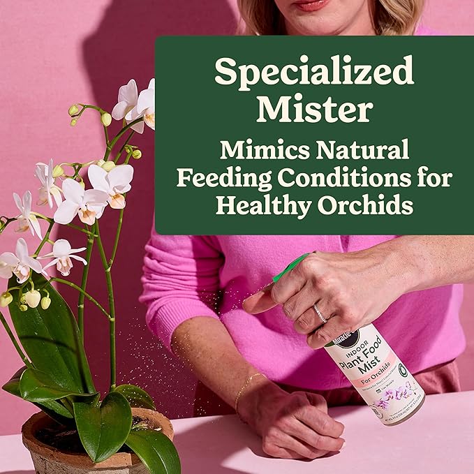 Miracle-Gro Indoor Plant Food Mist for Orchids, Orchid Plant Food, 8 fl. oz. (3-Pack)