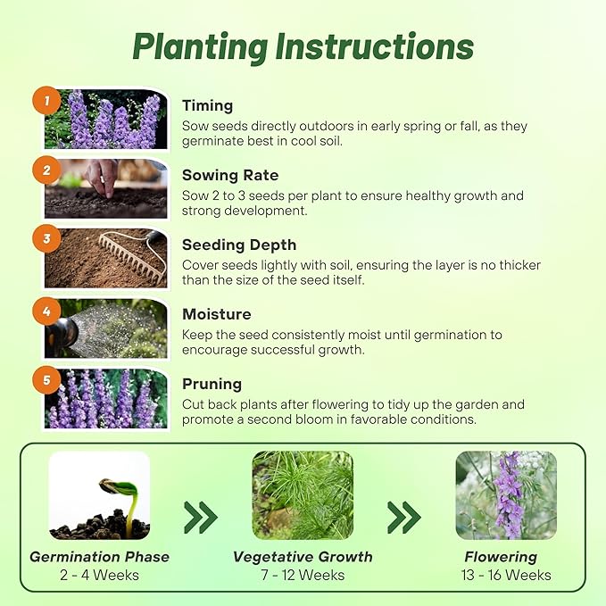 Outsidepride Delphinium Lilac Larkspur Seeds for Planting Outdoors - 1000 Pcs Annual, Self-Seeding, Heat & Drought Tolerant Wildflower Seed, Colorful Blooms for Flower Arrangement & Pollinator Garden