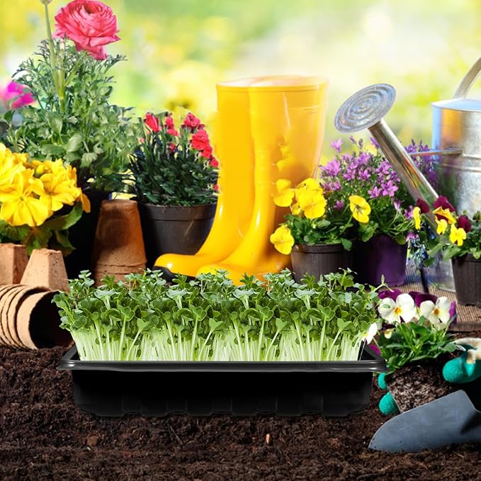 Breathable Seedling Tray with Lid and Large Black Planter Tray for Seed Starting and Sprouting Greenhouse Accessory for Indoor Gardening