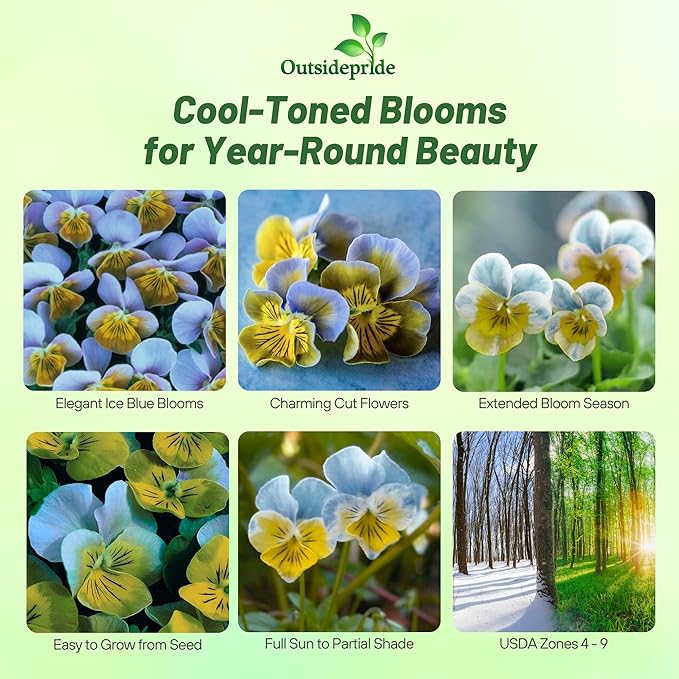 Outsidepride Miniola Heart Ice Blue Violet Seeds for Planting - 100 Pcs Annual, Compact & Pollinator Friendly Viola Flower Seeds w/Green and Blue Blooms, Ideal for Garden Borders & Container Displays