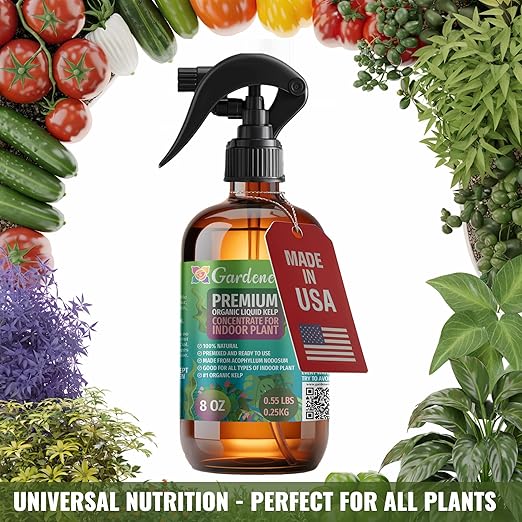 GARDENERA Professional Organic Liquid Kelp Spray for Money Tree Plants - 8 oz - Ready-to-Use Fully Organic Seaweed & Kelp Fertilizer Mist