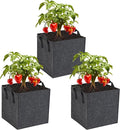 3-Pack 1 Grids Fabric 5 Gallon Grow Bags, 1x1x1ft Thickened 400G Nonwoven Fabric Raised Garden Beds with Handles - Indoor Outdoor Planters for Vegetables, Herbs, Flowers