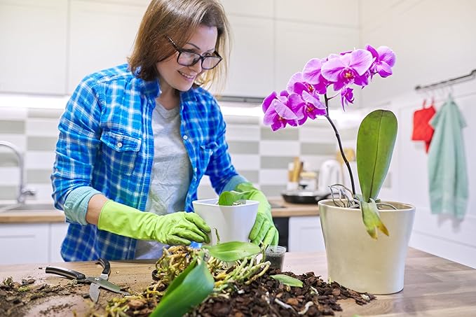 Better-Gro Phalaenopsis Mix - Premium Grade Phalaenopsis Potting Mix for Potting, Repotting, Enhanced Drainage, Air Flow & Root Ventilation, Ideal for Phalaenopsis Orchids - 8 Dry Quarts (Pack of 9)