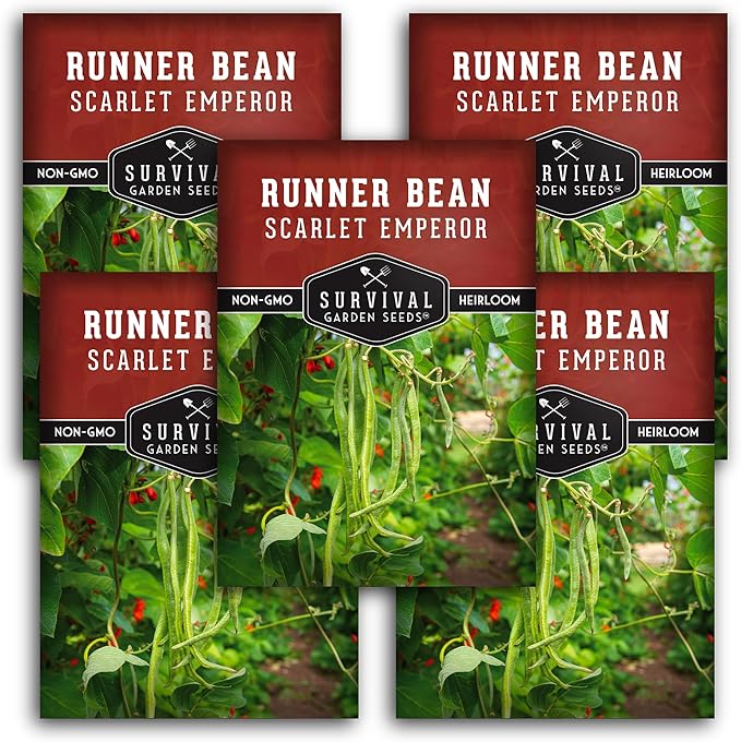 Scarlet Emperor Bean Seeds for Planting - Red Flowering Pole Beans & Ornamental Climbing Vine - Heirloom Non-GMO Pollinator-Friendly Variety for Vegetable Gardens - Survival Garden Seeds (3 Packs)