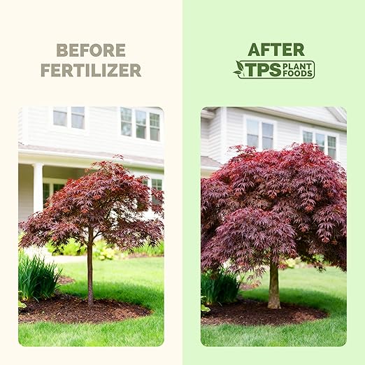 Japanese Maple Fertilizer, Complete Liquid Plant Food for All Japanese Maple Tree Varietals, 1 Gallon (128 oz)