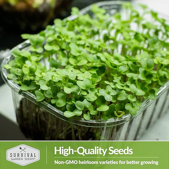 Broccoli Microgreen Seeds for Planting - Non-GMO Heirloom Broccoli Seeds to Grow Microgreens - Indoors or Hydroponic - Fast Sprouting, Nutrient Dense - Survival Garden Seeds (3 Packs)
