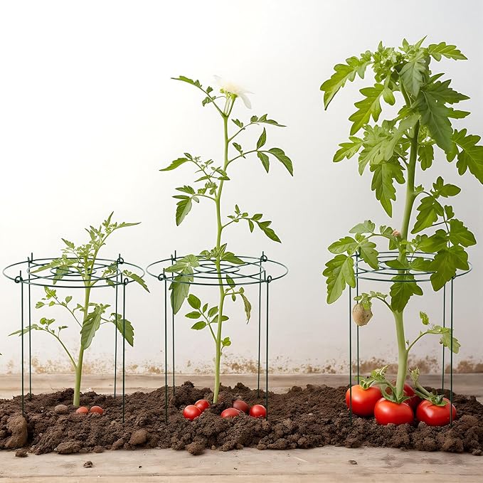8 Pack Heavy Duty Metal Peony Cage and Supports, 4 Legs Plant Support Ring for Outdoor Plants Rose Sage Peonies Cucumbers Tomato Strawberry(11.8" Dx16 H)