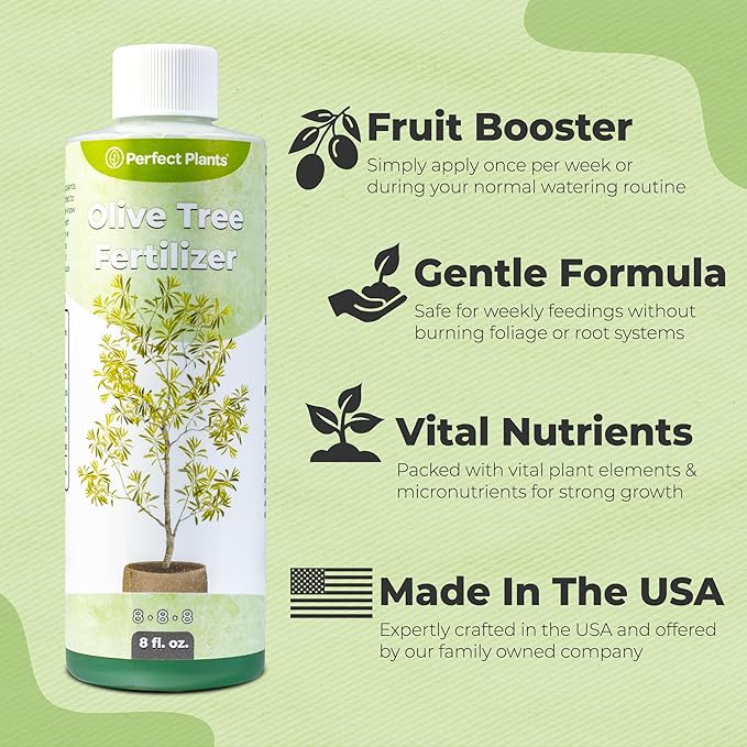 Liquid Olive Tree Fertilizer by Perfect Plants | Olive Plant Food for Real Indoor Trees or Outdoor Growing | High Level Nutrient Content to Boost Flowering & Fruit Production